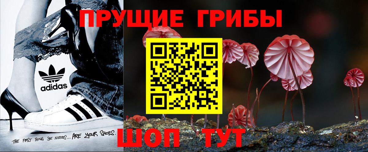 Унеча  Псилоцибиновые грибы GOLDEN TEACHER  Вход с VPN 